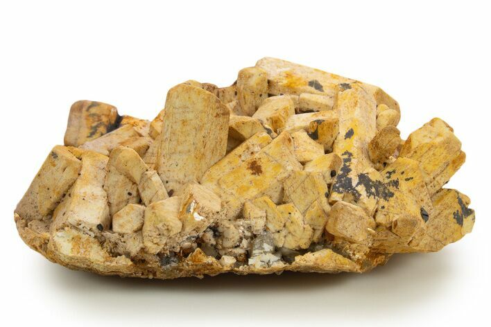 Orthoclase Crystal Cluster with Lustrous Schorl - Namibia #337072